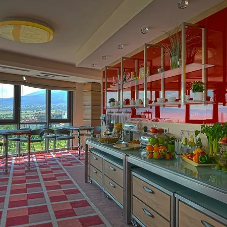 Hotel Suite Hotel Sofia 4*